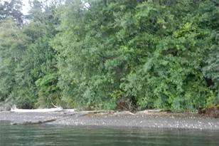 9999 Harrington Dr, Quilcene, WA 98376 - Photo 1