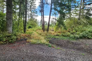 11736 Vail Cut Off Rd SE, Rainier, WA 98576 - Photo 1