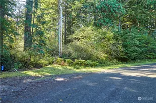 11114 106th St, Anderson Island, WA 98303 - Photo 1