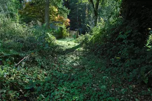 15419 296th St E, Graham, WA 98338 - Photo 1