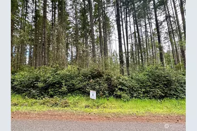 12020 Yoman Road, Anderson Island, WA 98303 - Photo 1