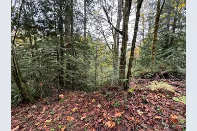 40 Xx Sand Dollar Road W, Bremerton, WA 98312 - Photo 1
