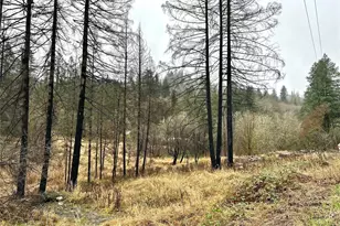 36803 NW Jenny Creek Rd, La Center, WA 98629 - Photo 1