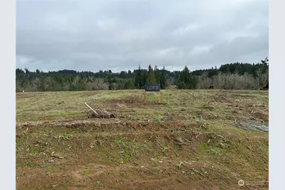 207 Ash Mountain Drive, Castle Rock, WA 98611 - Photo 1