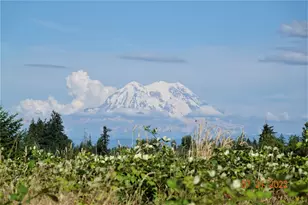 13918 Old Farm Ln SE, Yelm, WA 98597 - Photo 1