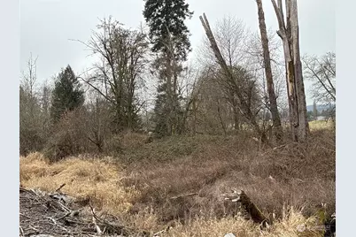 24 Xx Howard Avenue, Centralia, WA 98531 - Photo 1