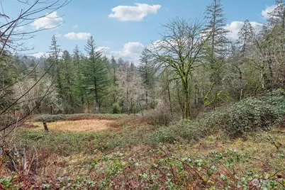 205 NE 353rd Avenue, Washougal, WA 98671 - Photo 1