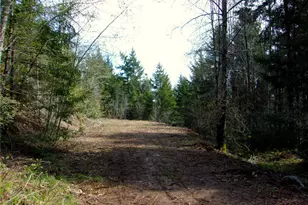 0 Madrona Ridge Dr, Brinnon, WA 98320 - Photo 1