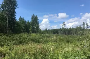 13617 144th St NW, Gig Harbor, WA 98329 - Photo 1