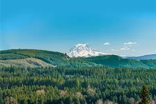 237 Dax Spur, Castle Rock, WA 98611 - Photo 1