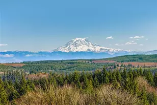 257 Dax Spur, Castle Rock, WA 98611 - Photo 1