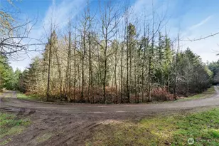 8211 128th Ave Ct, Anderson Island, WA 98303 - Photo 1