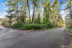 12605 84th St Ct, Anderson Island, WA 98303 - Photo 1