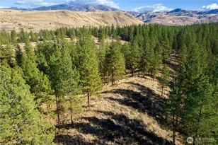 18 Wild Rose Rd, Winthrop, WA 98862 - Photo 1