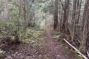 9999 Nka Mason St, Port Townsend, WA 98368 - Photo 1