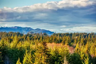 14010 Quiet Waters LN SW, Rochester, WA 98579 - Photo 1