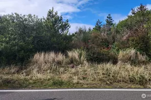 737 Ocean Shores Blvd SW, Ocean Shores, WA 98569 - Photo 1