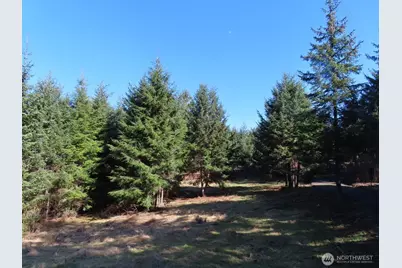 80 Wilson Lane, South Bend, WA 98586 - Photo 1