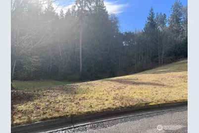 0 Lot 17 Delguzzi Dr, Port Angeles, WA 98362 - Photo 1