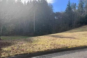 0 Lot 17 Delguzzi Dr, Port Angeles, WA 98362 - Photo 1