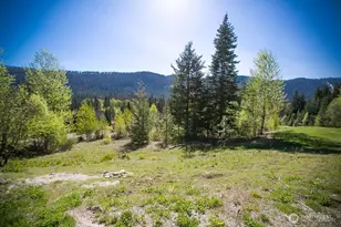 20700 Pelton Pl, Leavenworth, WA 98826 - Photo 1