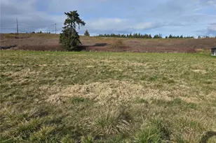 104 Green Valley Ln, Sequim, WA 98382 - Photo 1