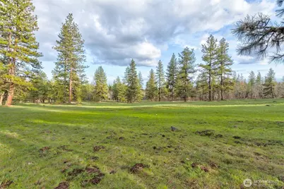 20 Greyback Mt Road, Goldendale, WA 98620 - Photo 1