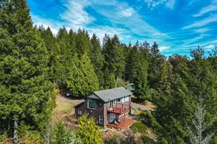 712 Jupiter Loop Rd, Brinnon, WA 98320 - Photo 1