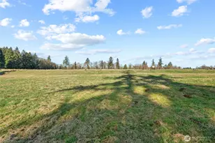 43 Sunnyfield Dr, Cathlamet, WA 98612 - Photo 1