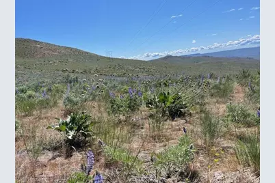 0 Lot 59 Bill Shaw Road, Pateros, WA 98834 - Photo 1