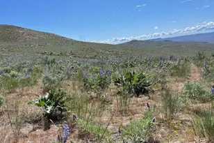 0 Lot 59 Bill Shaw Rd, Pateros, WA 98834 - Photo 1