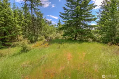 155 Dragonfly Drive, Orcas Island, WA 98279 - Photo 1