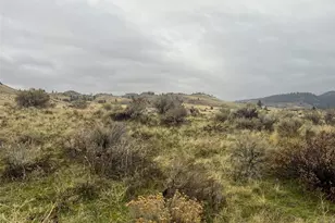 0 Pine Bluff Rd Lot 16, Oroville, WA 98844 - Photo 1