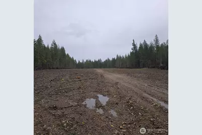 0 W Fire Warden Road, Matlock, WA 98560 - Photo 1