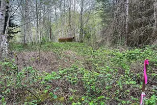 15709 125th Ave NW, Gig Harbor, WA 98329 - Photo 1