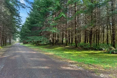 0 Xx South Fork Rd Road, Raymond, WA 98577 - Photo 1