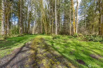 171 Deer Park Lane, Toledo, WA 98591 - Photo 1