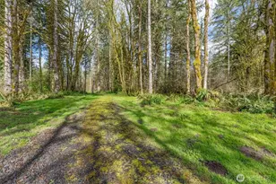 171 Deer Park Ln, Toledo, WA 98591 - Photo 1