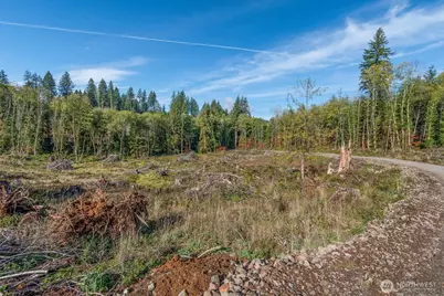 154 Deer Fern Lane, Longview, WA 98632 - Photo 1