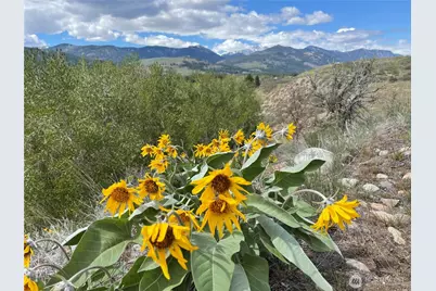 1 High Ridge Road, Winthrop, WA 98862 - Photo 1