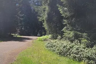 10308 106th Ave Ct, Anderson Island, WA 98303 - Photo 1
