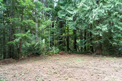 51 N Trail Head Loop, Lilliwaup, WA 98555 - Photo 1