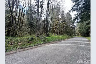 0 Miller River Road, Skykomish, WA 98288 - Photo 1