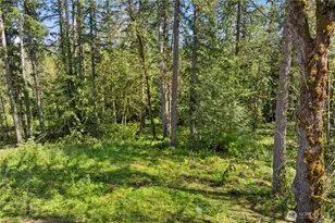 29 Xxx SE Issaquah Fall City Rd, Fall City, WA 98024 - Photo 1