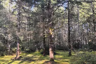 1731 E St Andrews Dr N, Shelton, WA 98584 - Photo 1