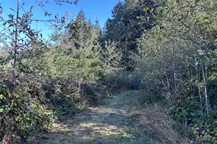 0 Nka Mt Brynion Rd, Kelso, WA 98626 - Photo 1