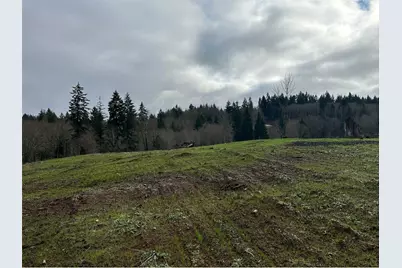 0 NW 169th Street, Ridgefield, WA 98642 - Photo 1