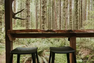 487 Goodman Mainline, Forks, WA 98331 - Photo 1