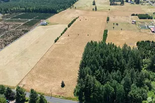 0 Nelson Rd, Winlock, WA 98596 - Photo 1