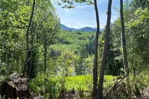 2 Xxx Leland Valley Road W, Quilcene, WA 98376 - Photo 1